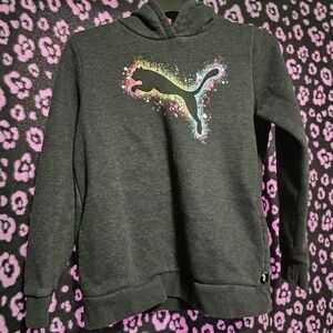 Puma Gray & Multi-colored Puma Soft Lined Hoodie